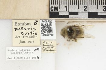 Media type: image;   Entomology 810730 Aspect: labels